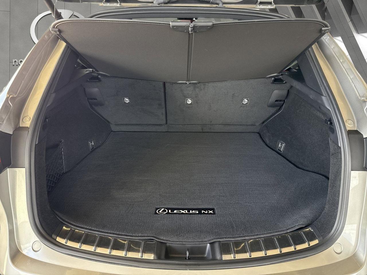 2025 Lexus NX 250 Premium San Antonio TX