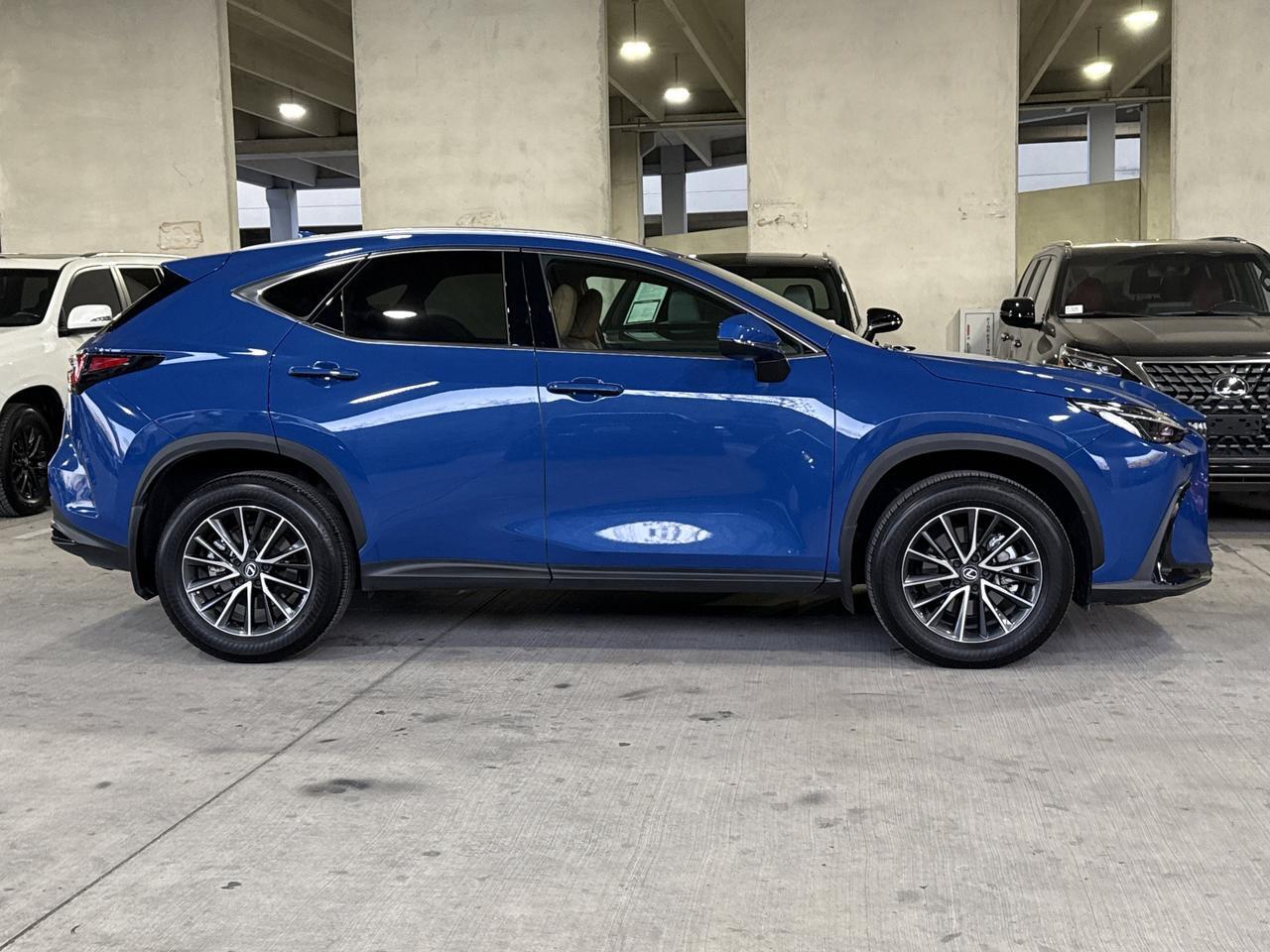 2025 Lexus NX 250 Premium San Antonio TX
