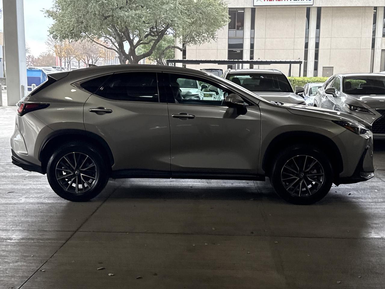 2025 Lexus NX 250 Premium San Antonio TX