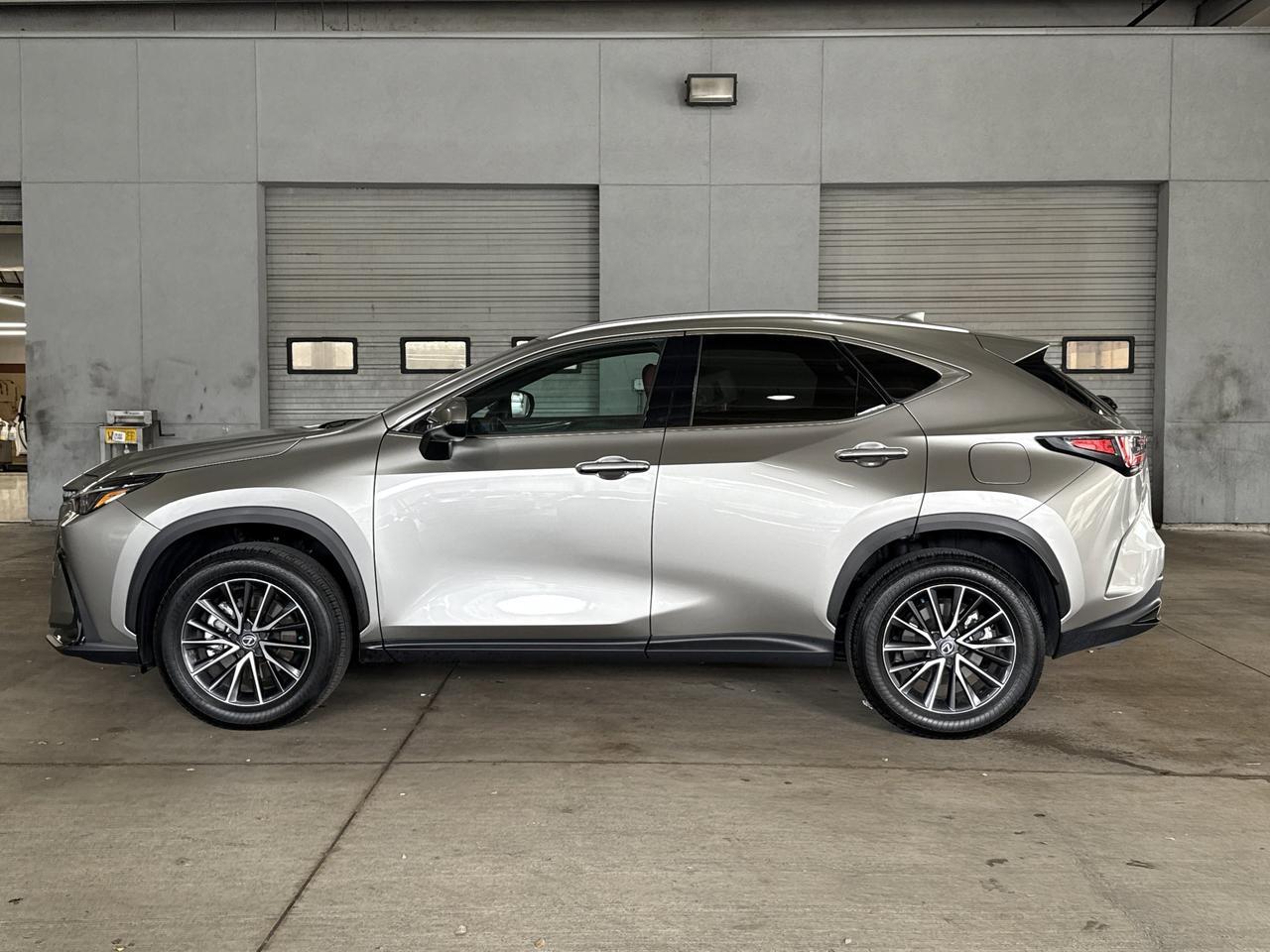2025 Lexus NX