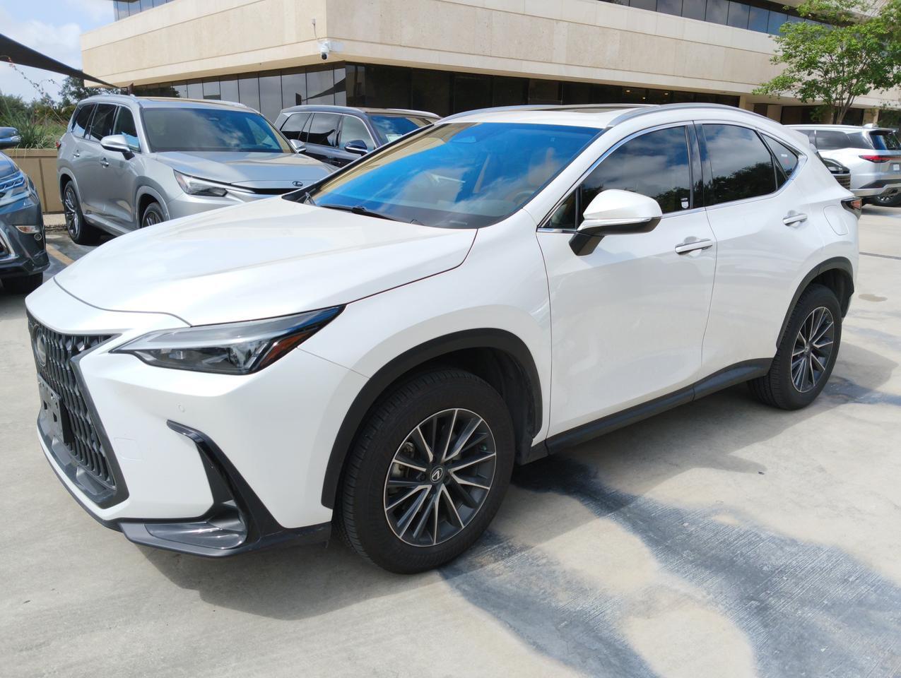 2025 Lexus NX 250 Premium