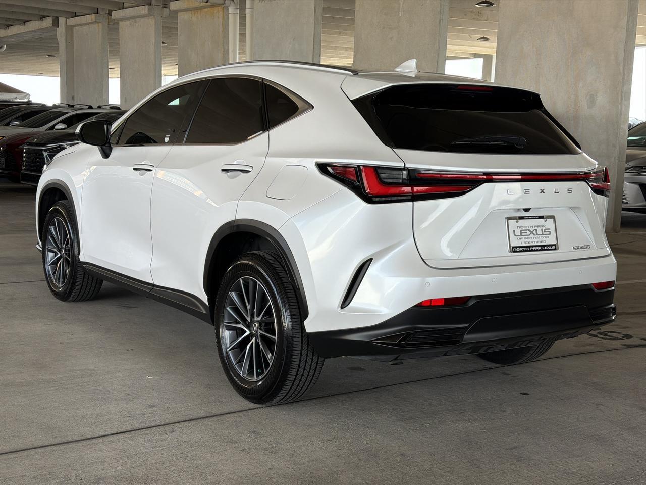 2025 Lexus NX 250 Premium