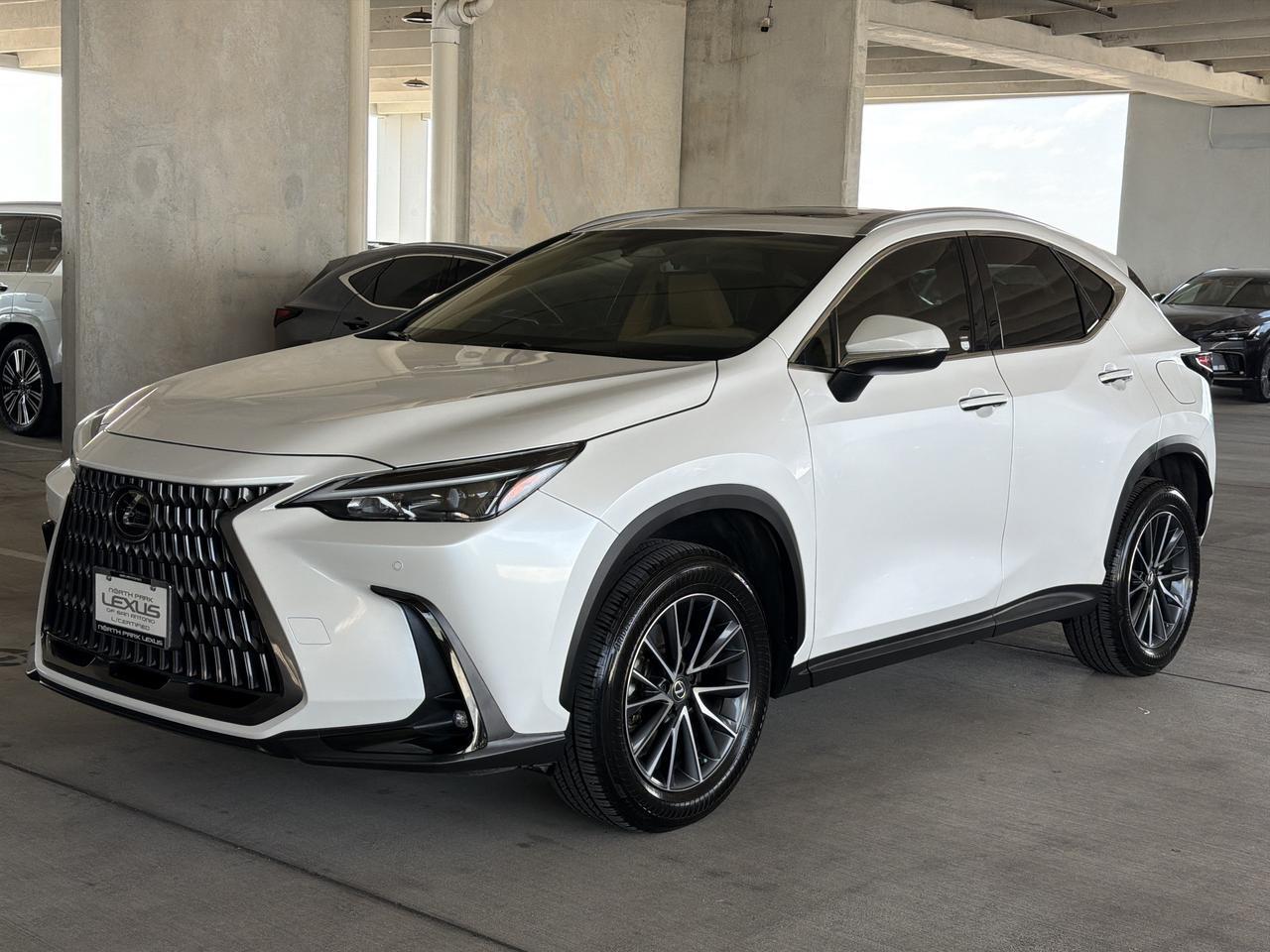 2025 Lexus NX 250 Premium