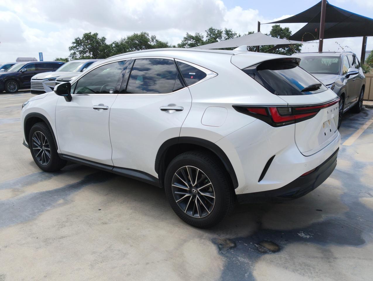 2025 Lexus NX 250 Premium