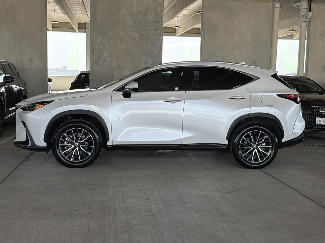 2025 Lexus NX 250 Premium