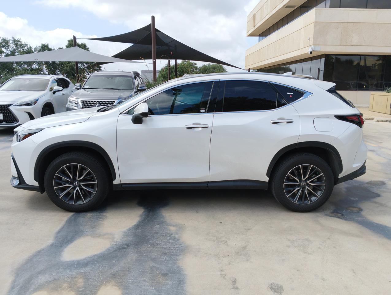 2025 Lexus NX 250 Premium