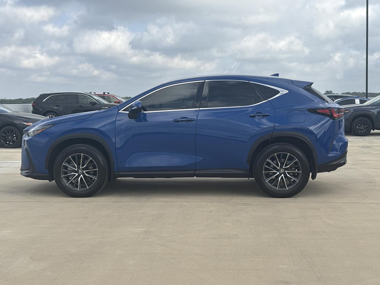 2025 Lexus NX 250 Premium