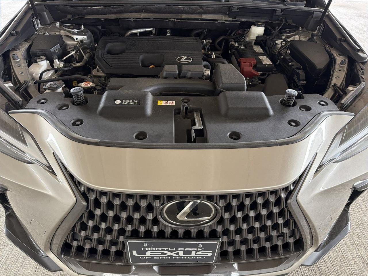 2025 Lexus NX 250 Premium San Antonio TX