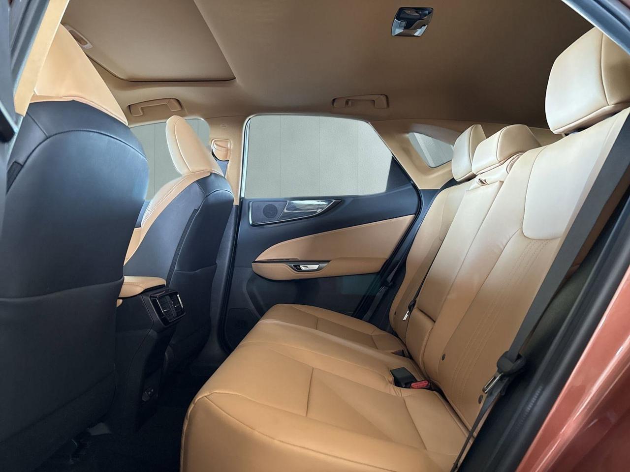 2025 Lexus NX 250 Premium San Antonio TX