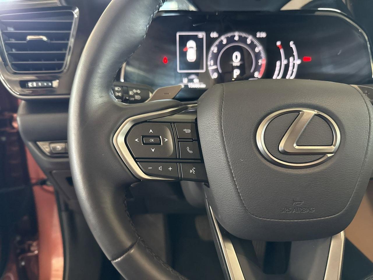 2025 Lexus NX 250 Premium San Antonio TX