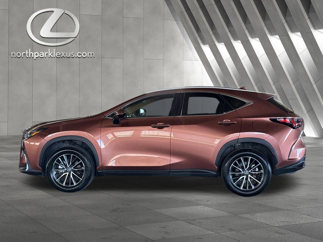 2025 Lexus NX