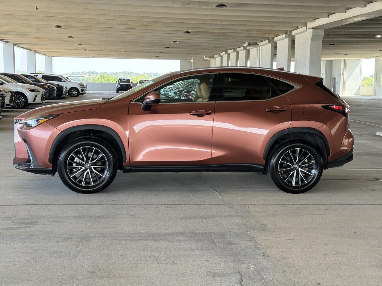 2025 Lexus NX 250 Premium