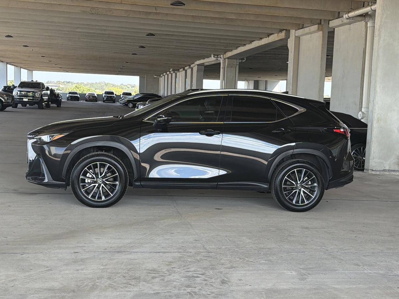 2025 Lexus NX 250 Premium