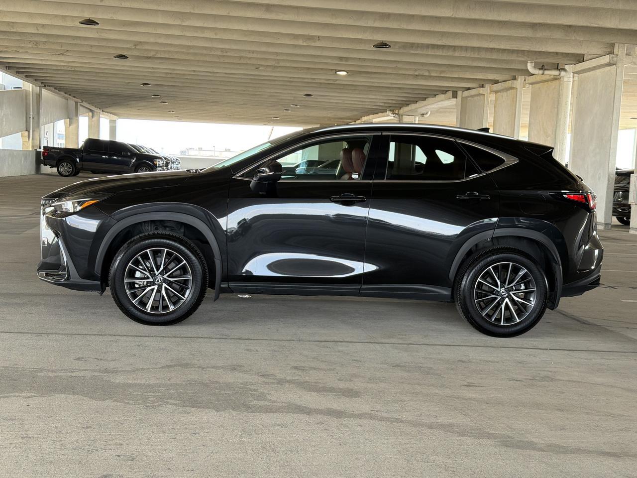 2025 Lexus NX
