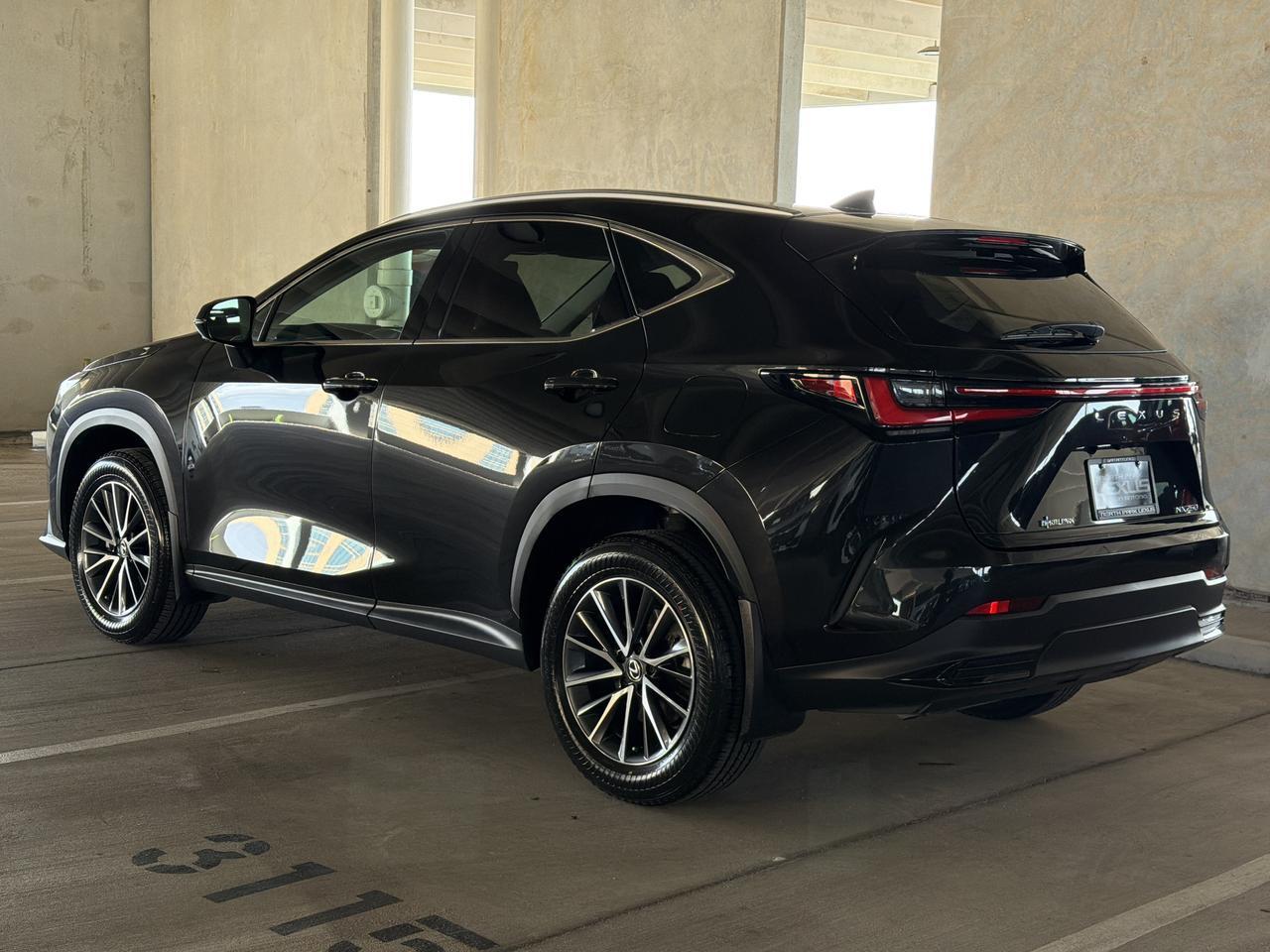 2025 Lexus NX 250 Premium