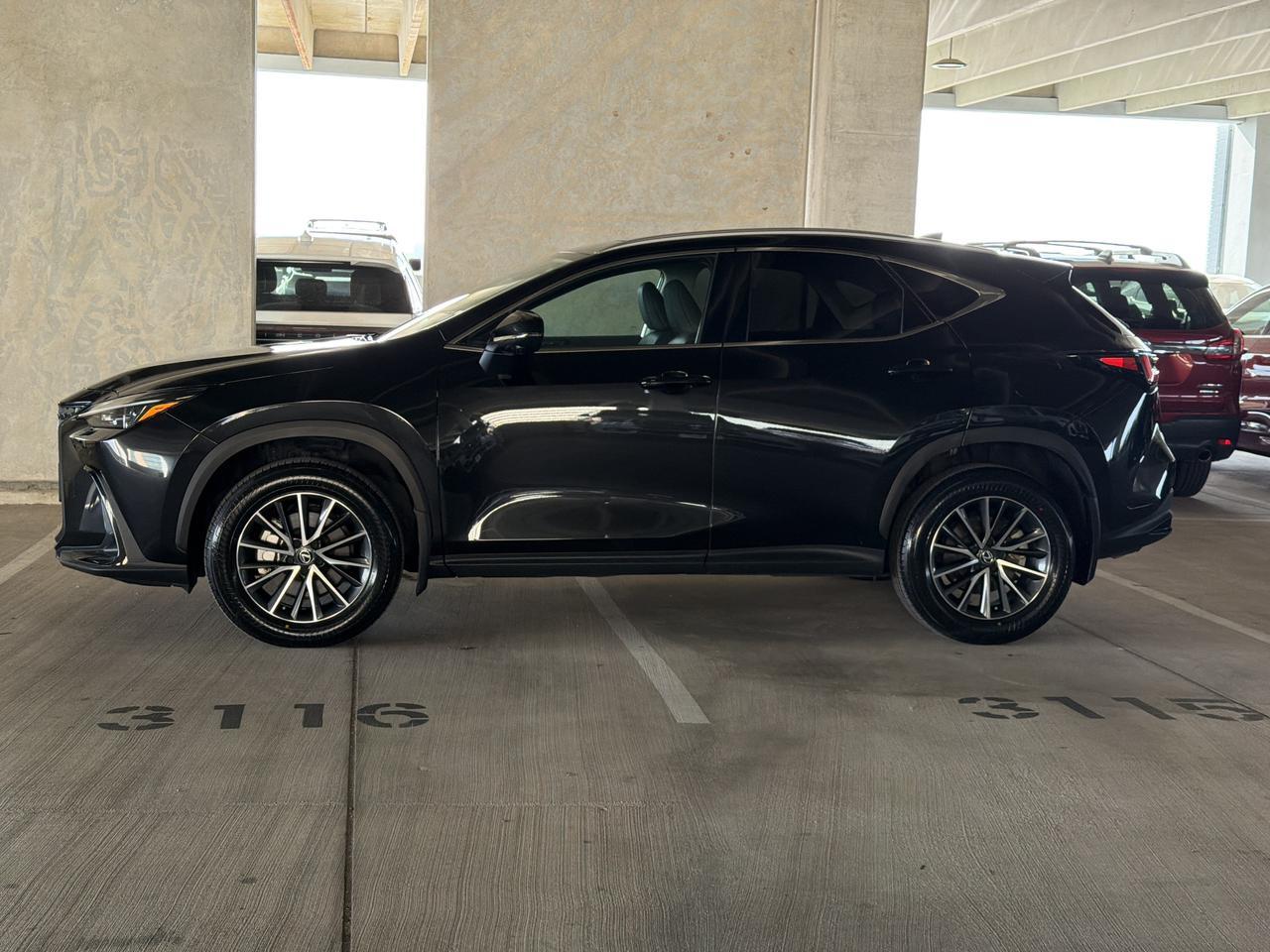 2025 Lexus NX 250 Premium
