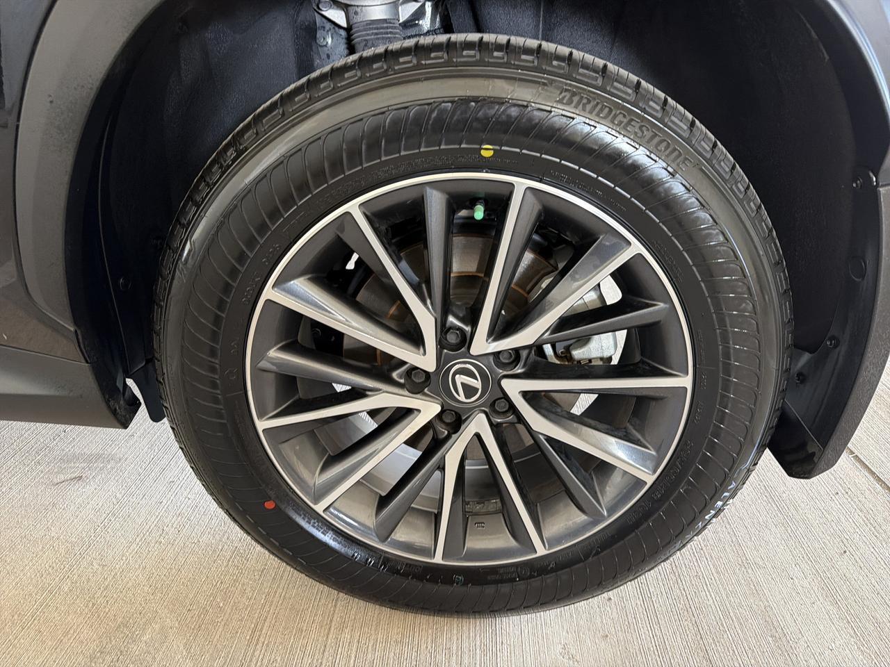 2025 Lexus NX 250 Premium San Antonio TX