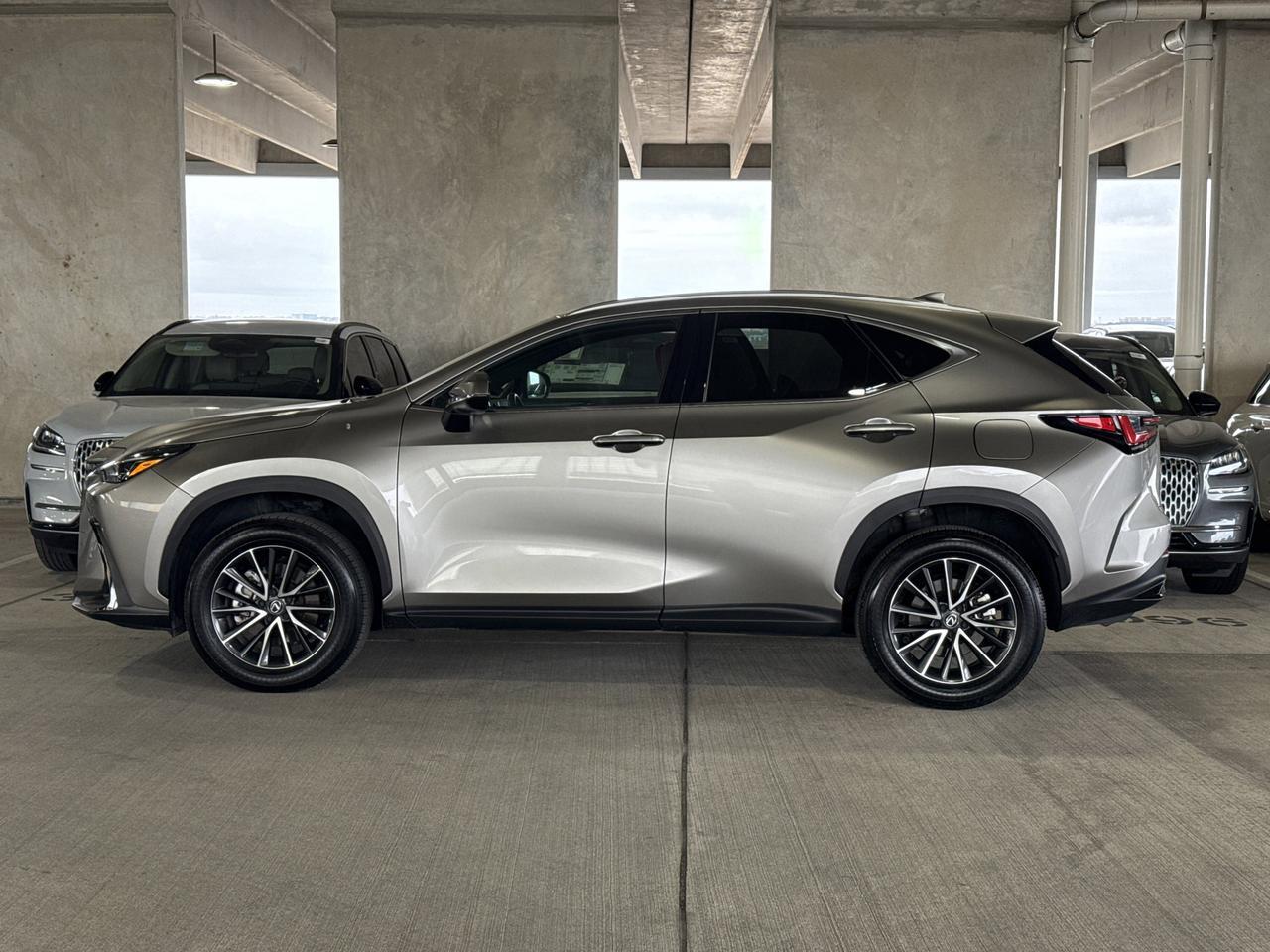 2025 Lexus NX
