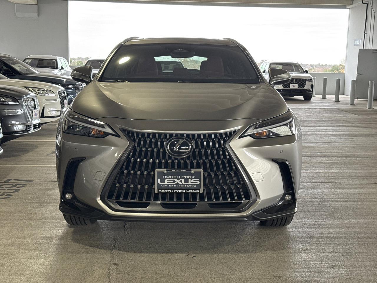 2025 Lexus NX 250 Premium San Antonio TX