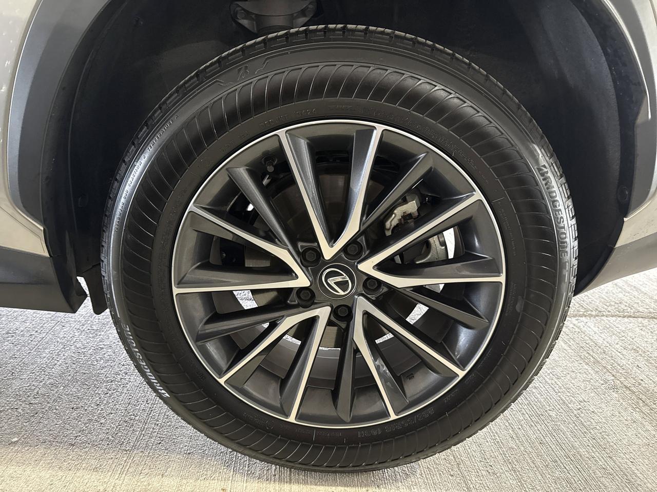 2025 Lexus NX 250 Premium San Antonio TX