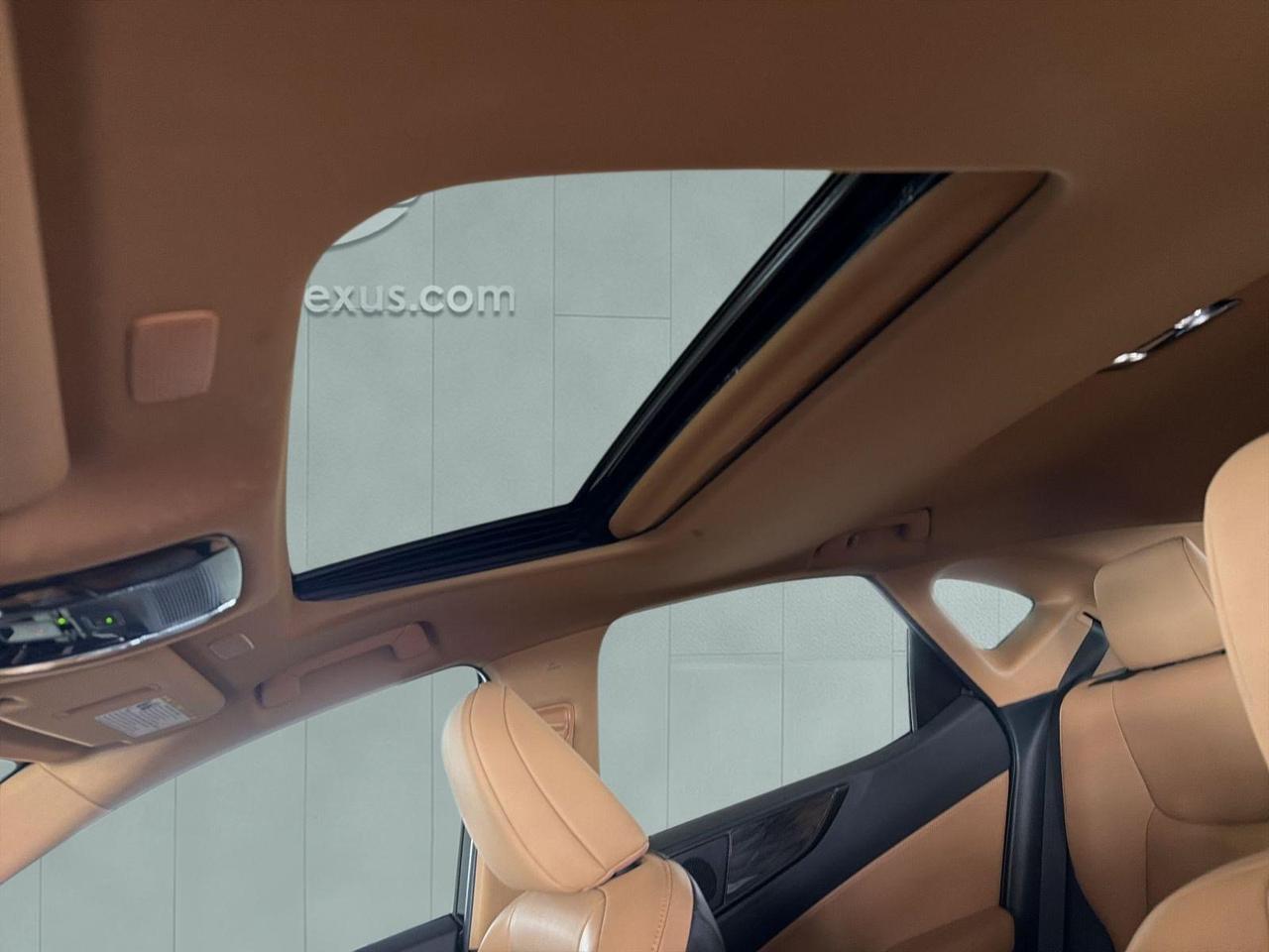 2025 Lexus NX 250 Premium San Antonio TX