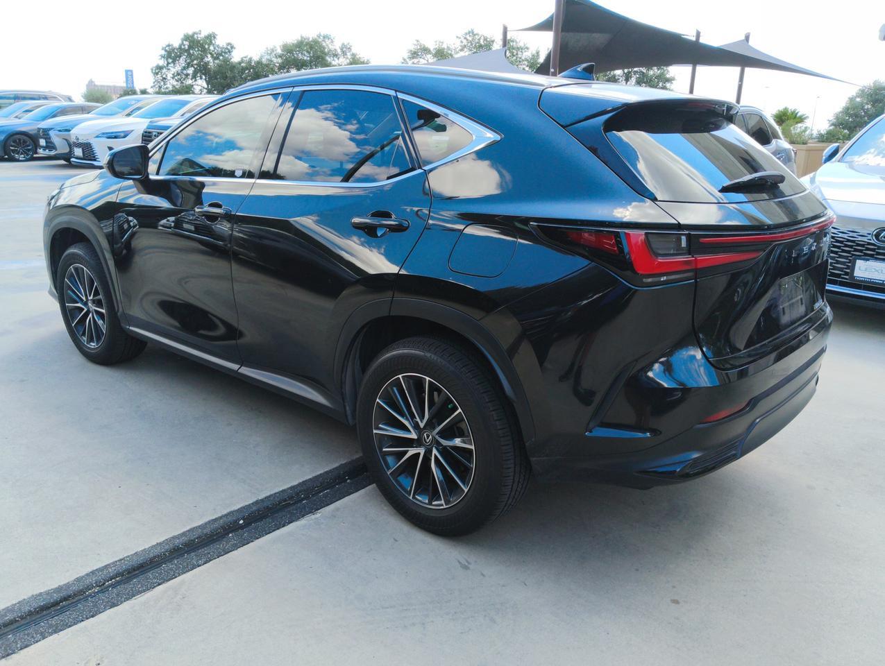 2025 Lexus NX 250 Premium