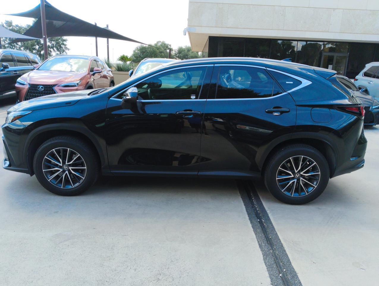 2025 Lexus NX 250 Premium