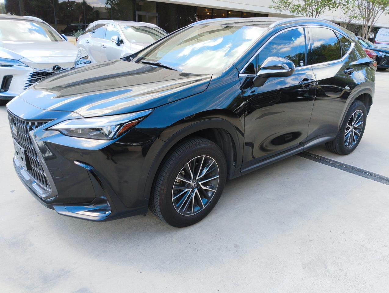 2025 Lexus NX 250 Premium