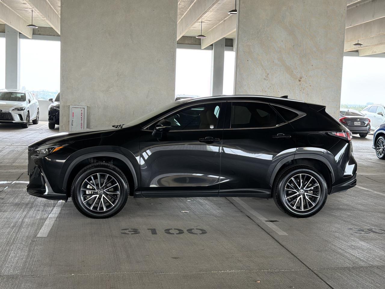 2025 Lexus NX 250 Premium