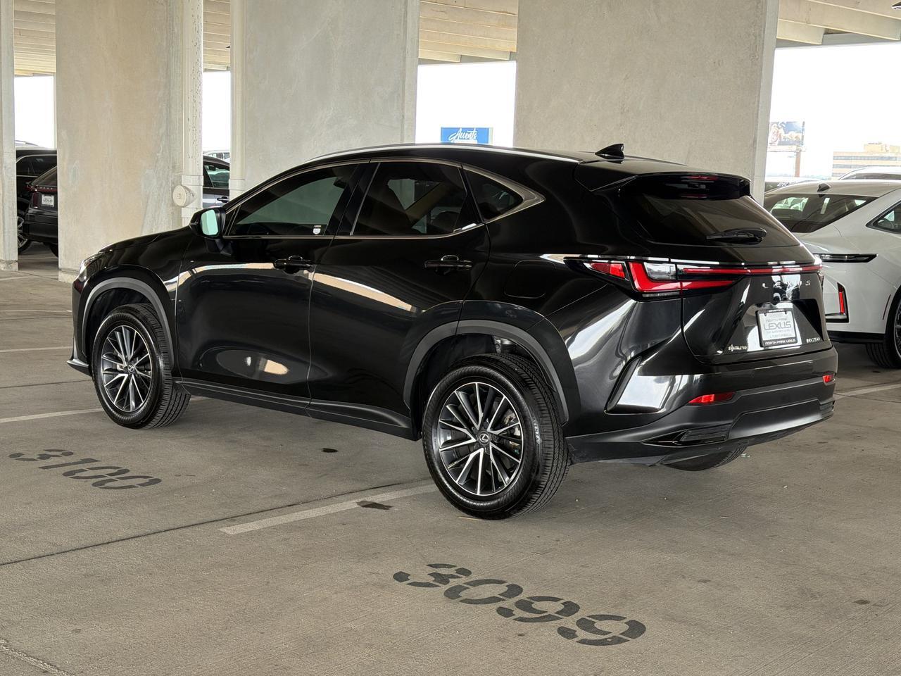 2025 Lexus NX 250 Premium