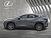 2025 Lexus NX 250 Premium