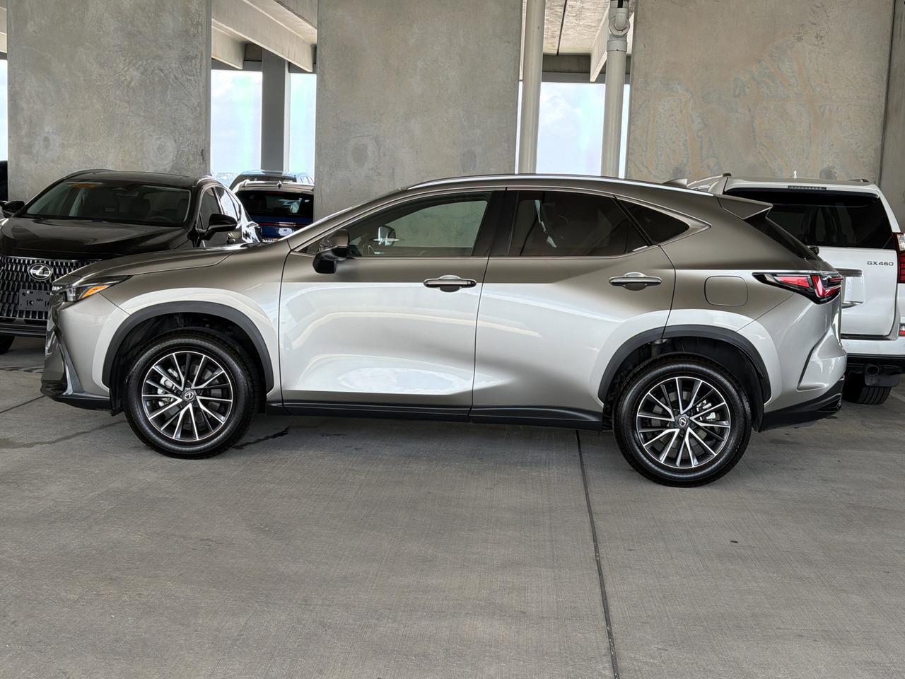 2025 Lexus NX 250 Premium
