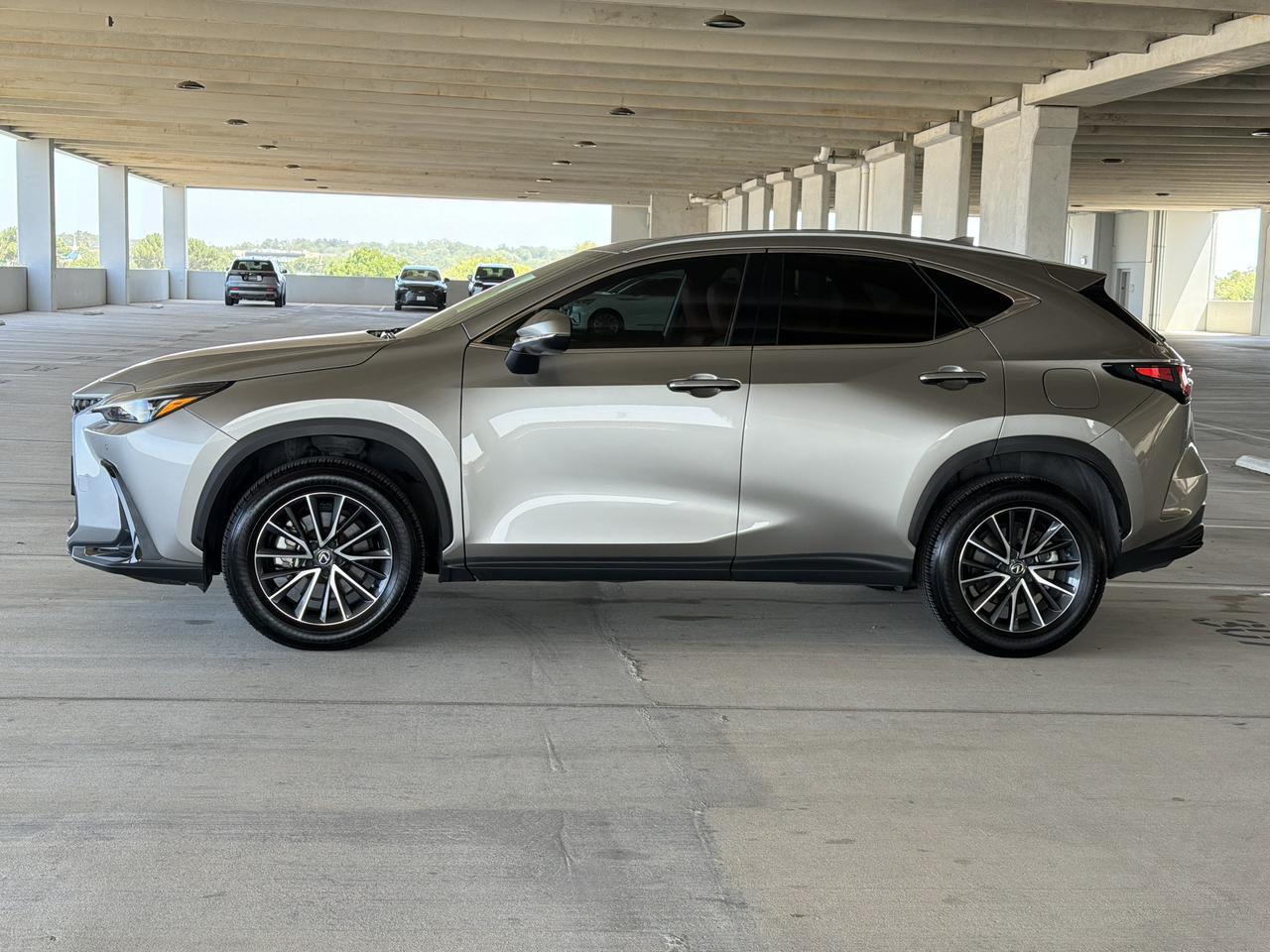 2025 Lexus NX