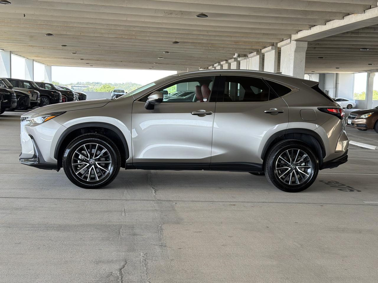 2025 Lexus NX