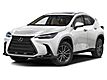 2025 Lexus NX 250 Premium
