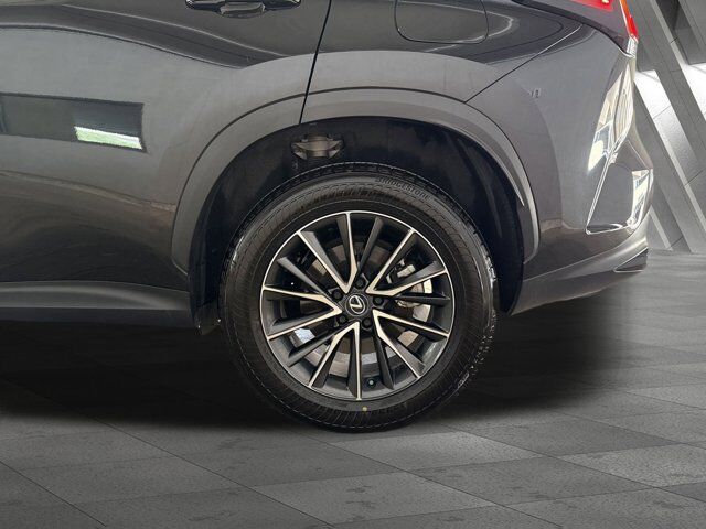 2025 Lexus NX 250 Premium San Antonio TX