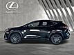 2025 Lexus NX 250 Premium