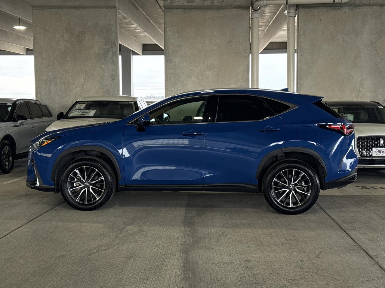 2025 Lexus NX
