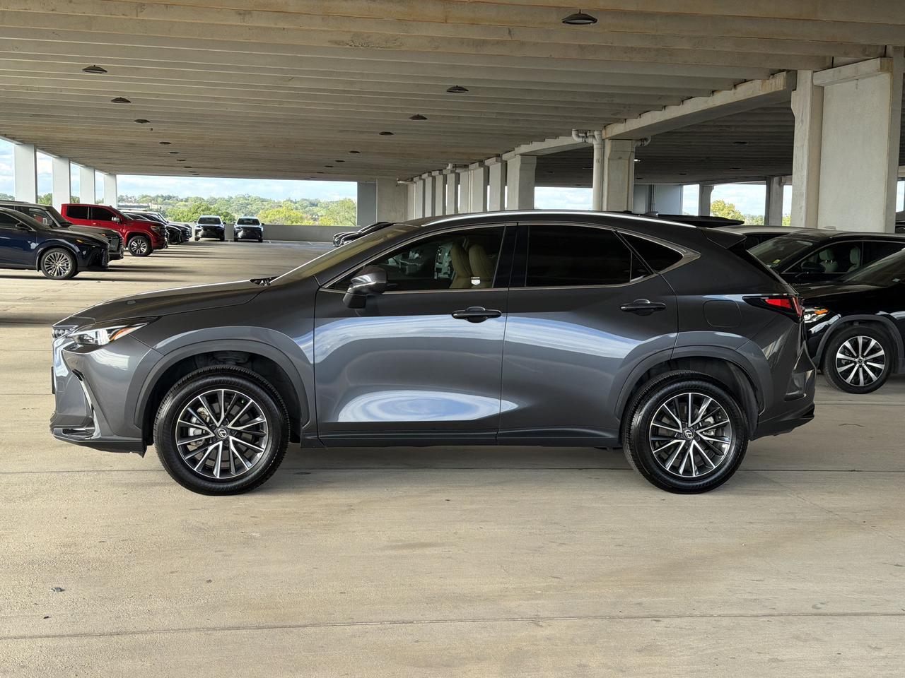 2025 Lexus NX