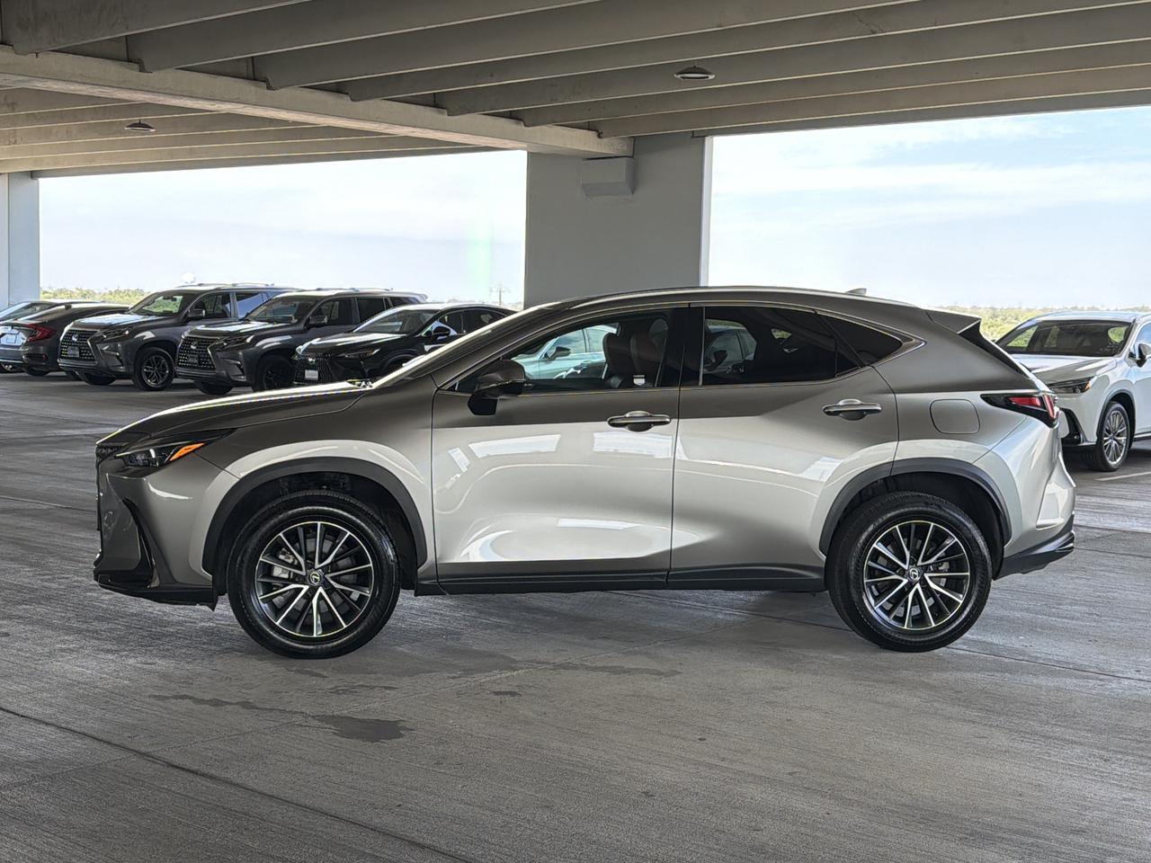 2025 Lexus NX 250 Premium