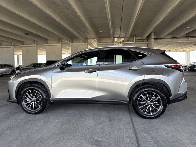 2025 Lexus NX 250 Premium San Antonio TX
