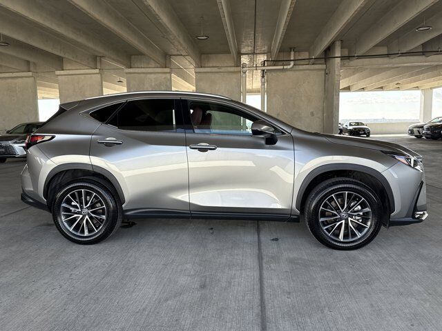 2025 Lexus NX 250 Premium San Antonio TX