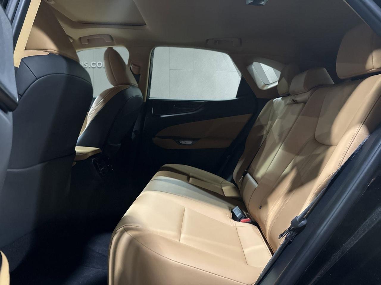 2025 Lexus NX 250 Premium San Antonio TX