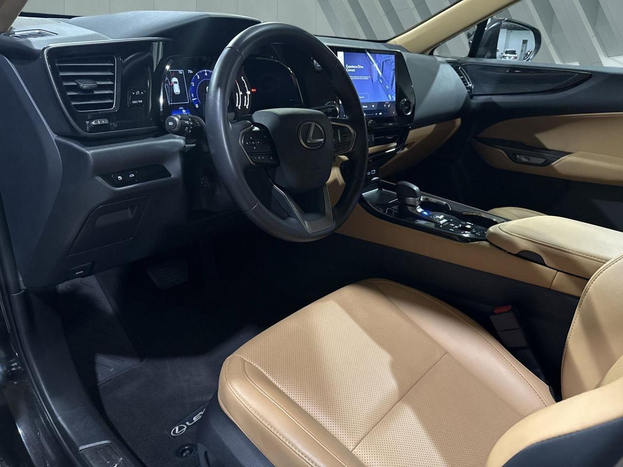 2025 Lexus NX 250 Premium San Antonio TX