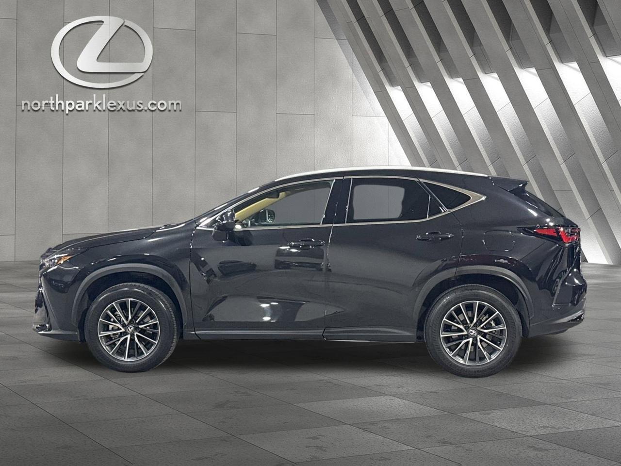 2025 Lexus NX 250 Premium