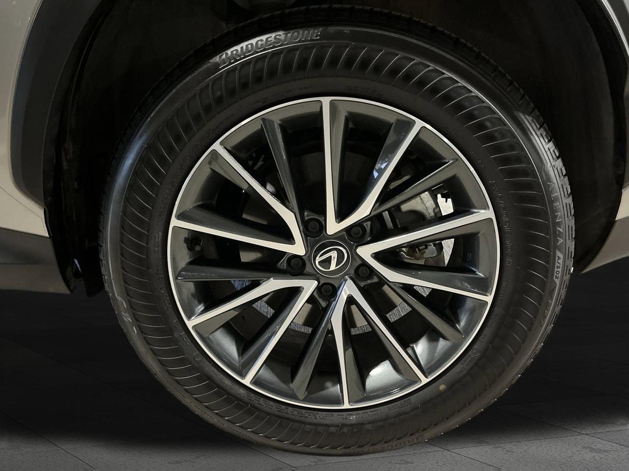 2025 Lexus NX 250 Premium San Antonio TX