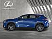 2025 Lexus NX 250 Premium