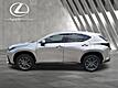 2025 Lexus NX 250 Premium