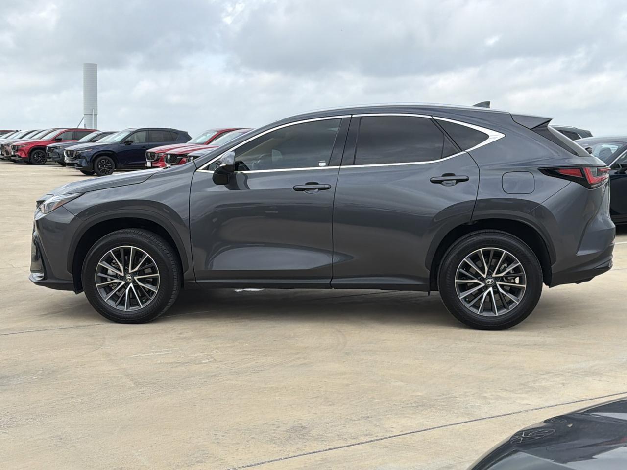2025 Lexus NX