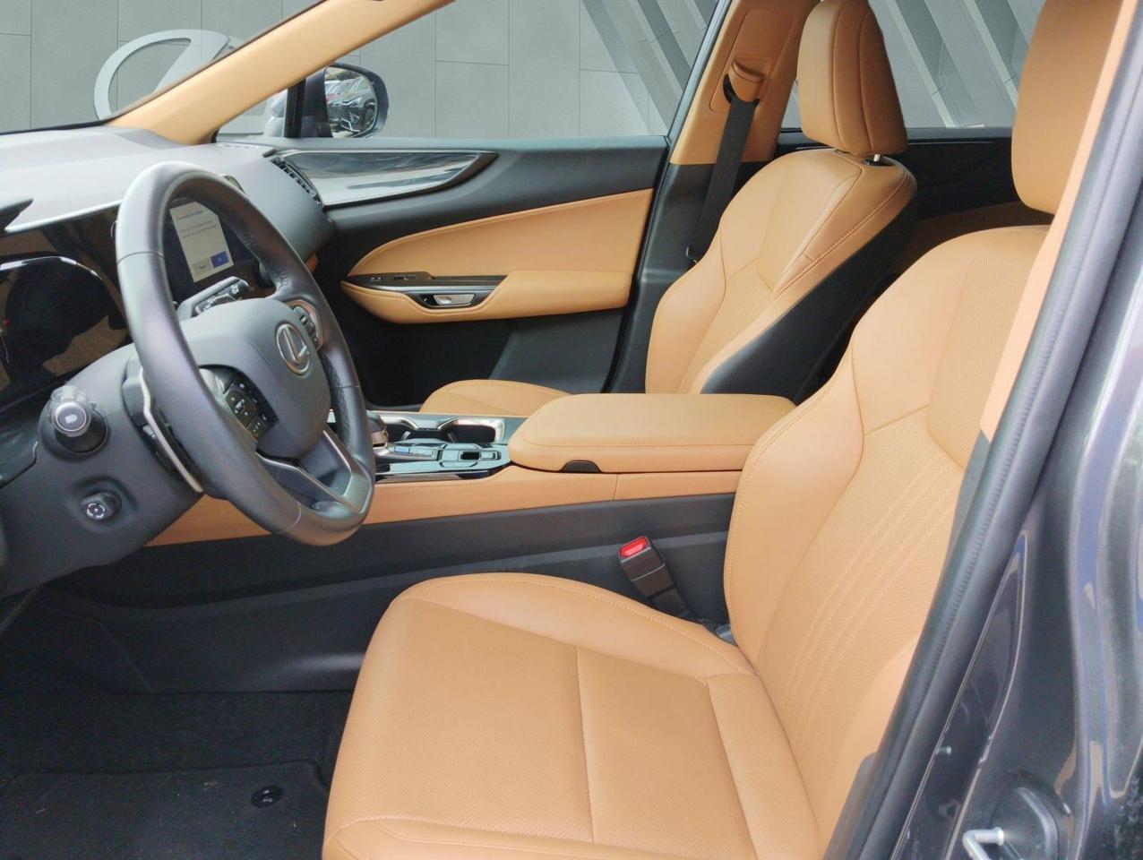 2025 Lexus NX 250 Premium San Antonio TX